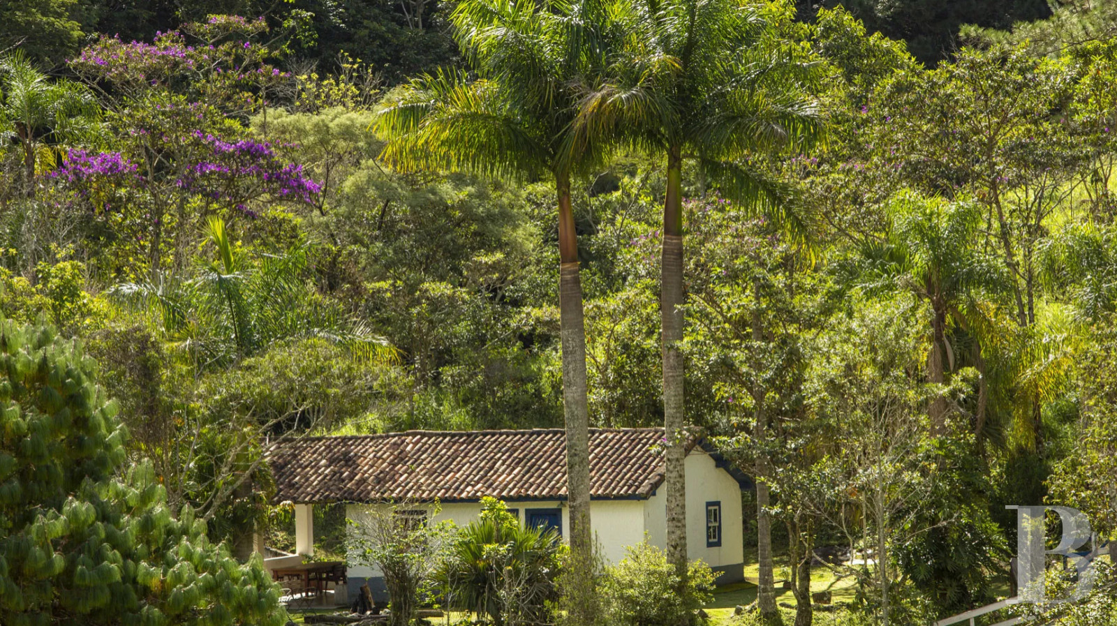 Au Brésil, dans l’État de São Paolo, une fazenda en autosubsistance dédiée à l’art et à la nature - photo  n°7